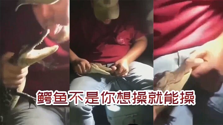 鳄鱼不是你想操想操就能操- www.jdav.vip